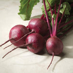 Hybrid Red Beet - Merlin