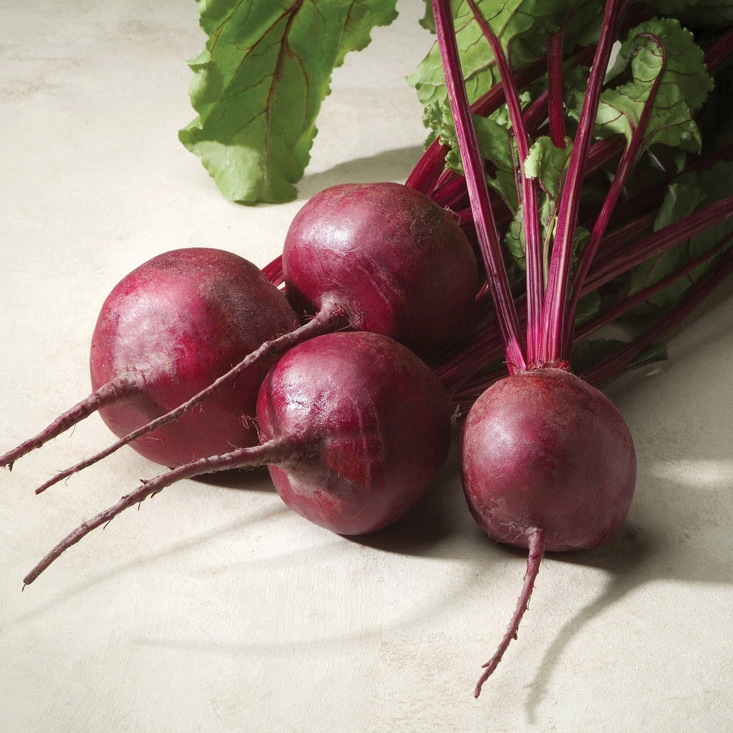 Hybrid Red Beet - Merlin