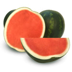 Hybrid Triploid (Seedless) Personal Size Watermelon - Mini Bee