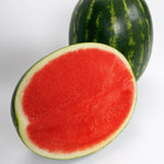 Hybrid Triploid (Seedless) Crimson Sweet Rind Watermelon - Miramonte