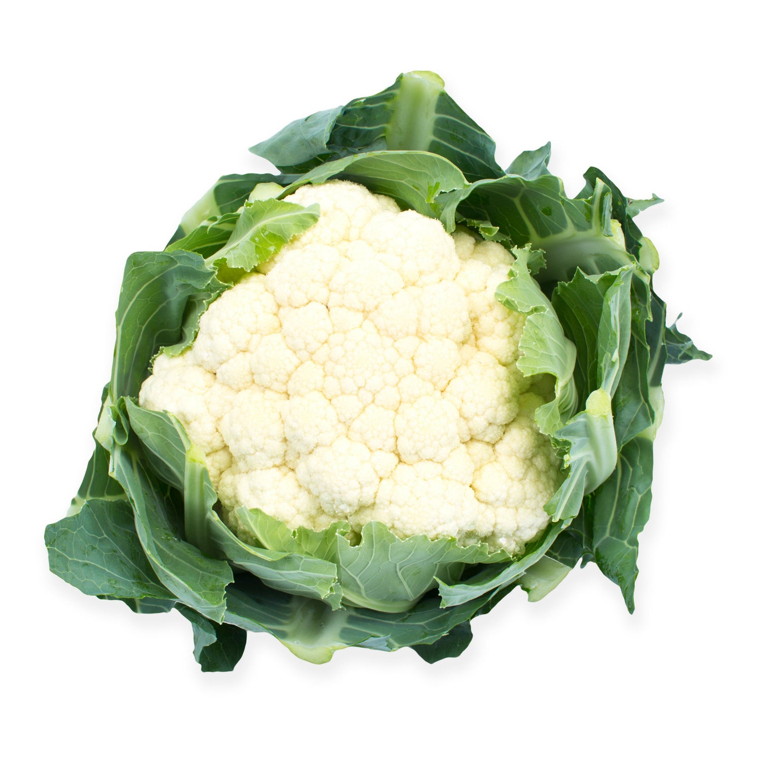 Hybrid White Cauliflower - Moneera RZ