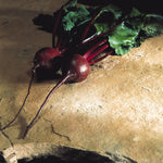 Hybrid Red Beet - Moneta