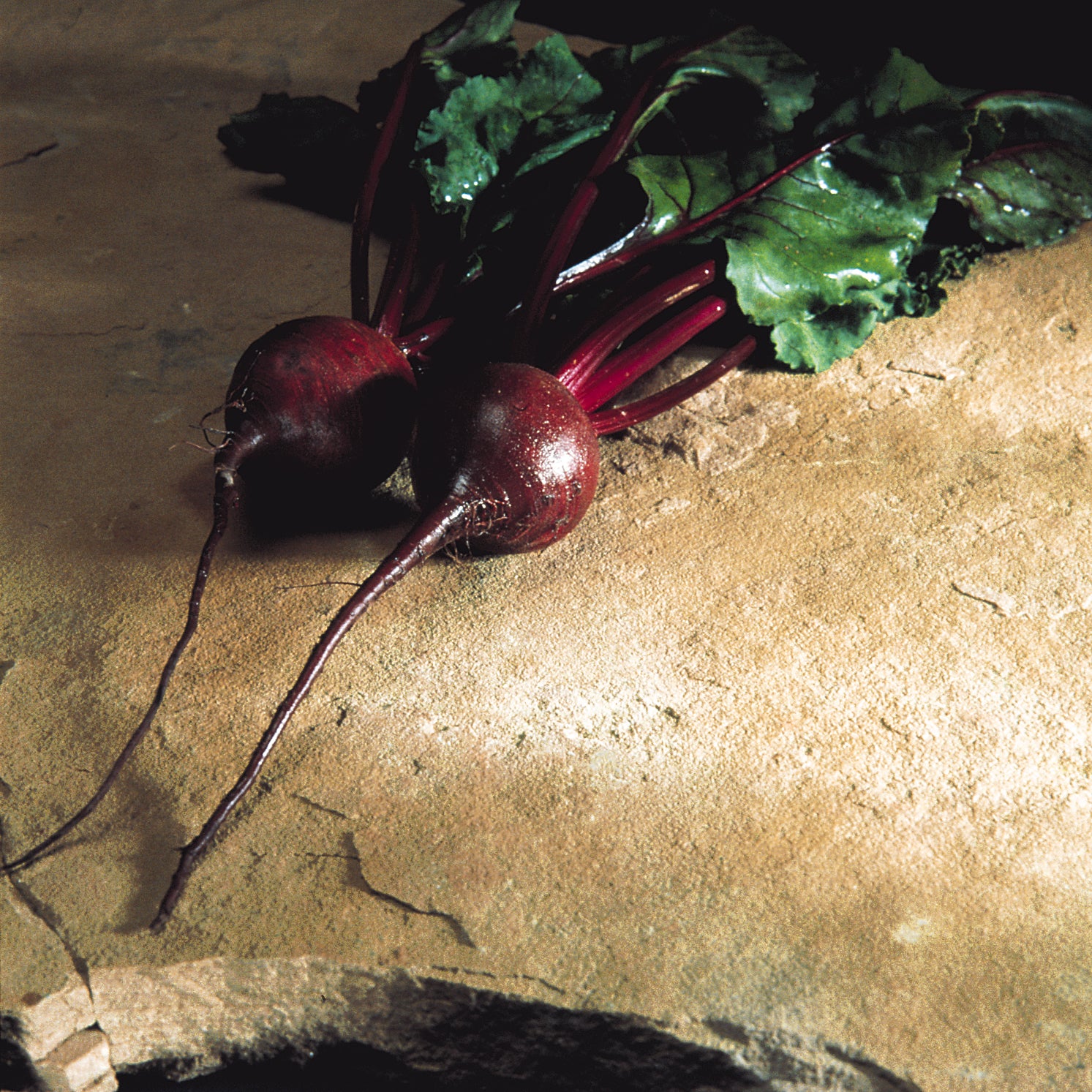 Hybrid Red Beet - Moneta