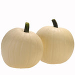 Hybrid White Pumpkin - Moon Beam