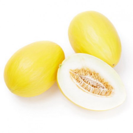 Hybrid Canary Melon - Natal RZ