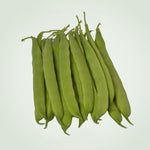 OP Romano Bush Bean - Navajo