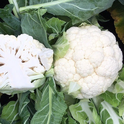 Hybrid White Cauliflower - Nebula