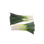 Hybrid Leek - Nebulus RZ