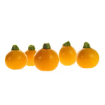 Hybrid Round Zucchini Squash - One Ball