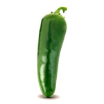 Hybrid Jalapeno Pepper - PS 11435810