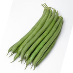 OP Green Bush Bean - PV-857