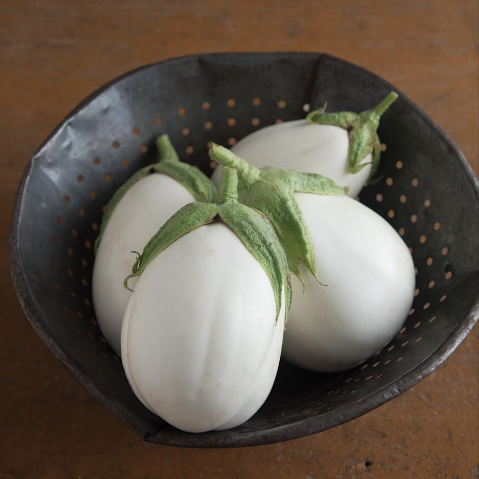 Hybrid White Eggplant - Paloma