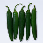 Hybrid Serrano Pepper - Pathfinder