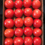 Hybrid Round Red Tomato - Patsy