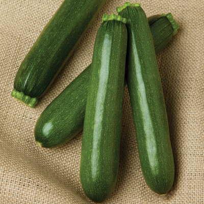 Hybrid Green Zucchini Squash - Payload