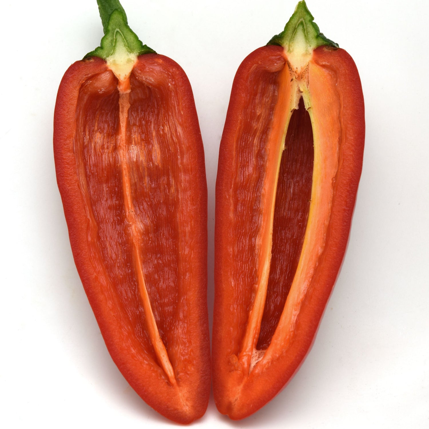 Hybrid Red Mini Pepper - Peppi Red