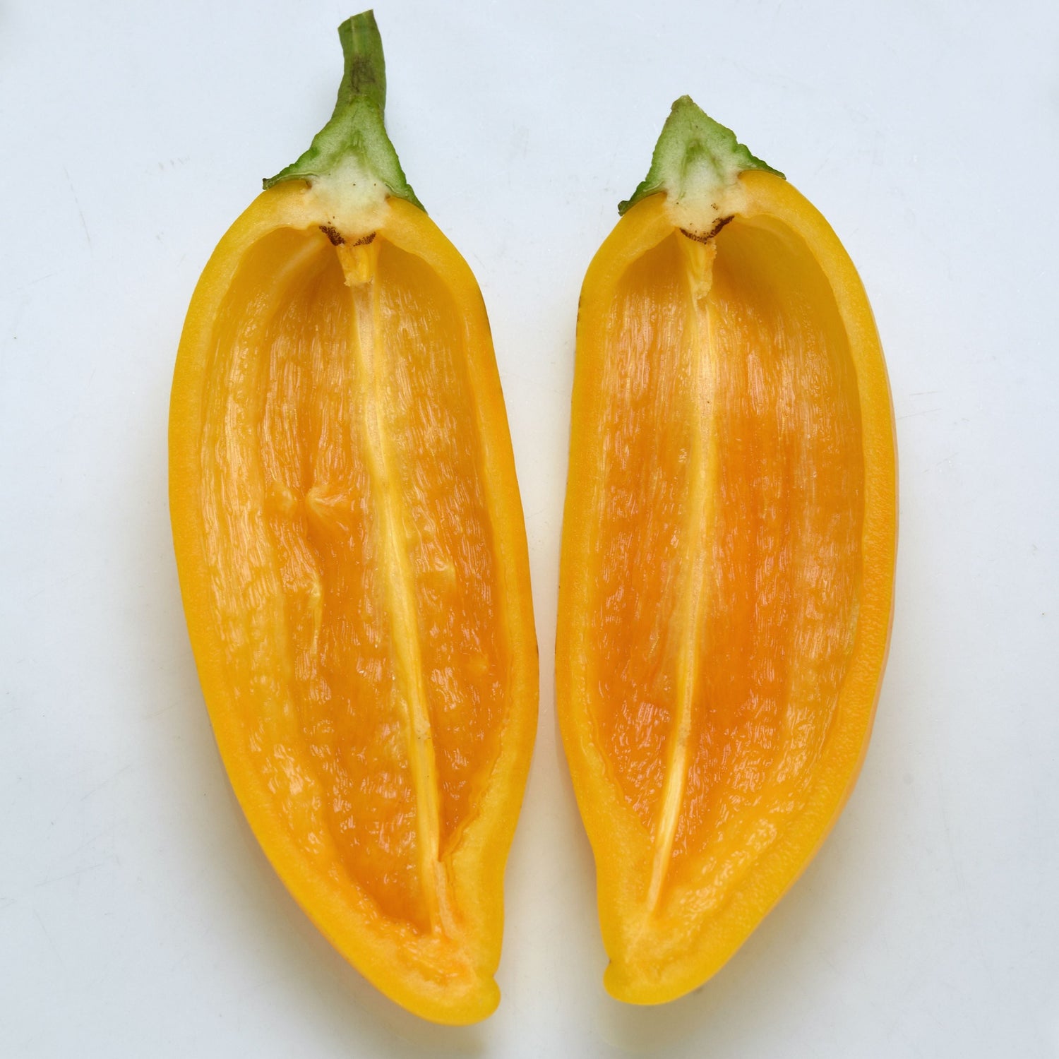 Hybrid Yellow Mini Pepper - Peppi Yellow