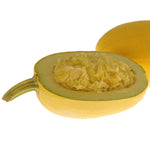 Hybrid Spaghetti Squash - Pinnacle
