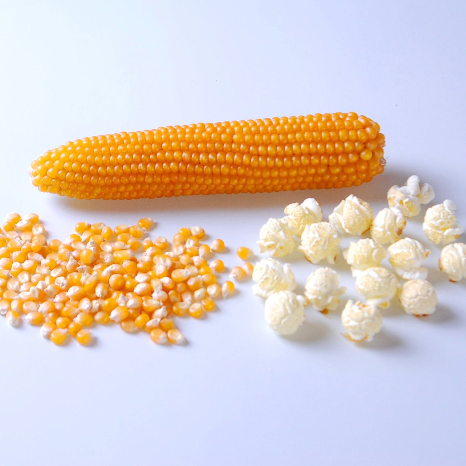 Hybrid Popcorn - Poof (R400MR)