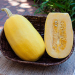 Hybrid Spaghetti Squash - Primavera