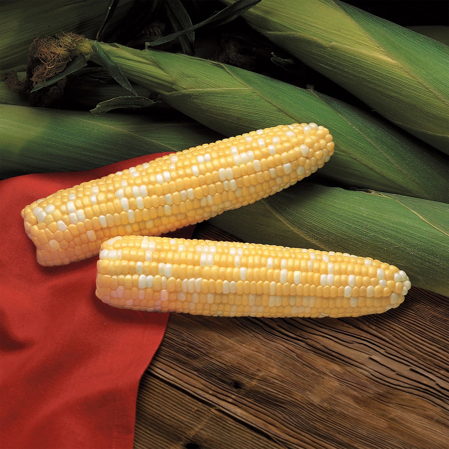 Hybrid Sugar Enhanced Bicolor Corn - Primus