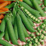 OP Shelling Pea - Progress