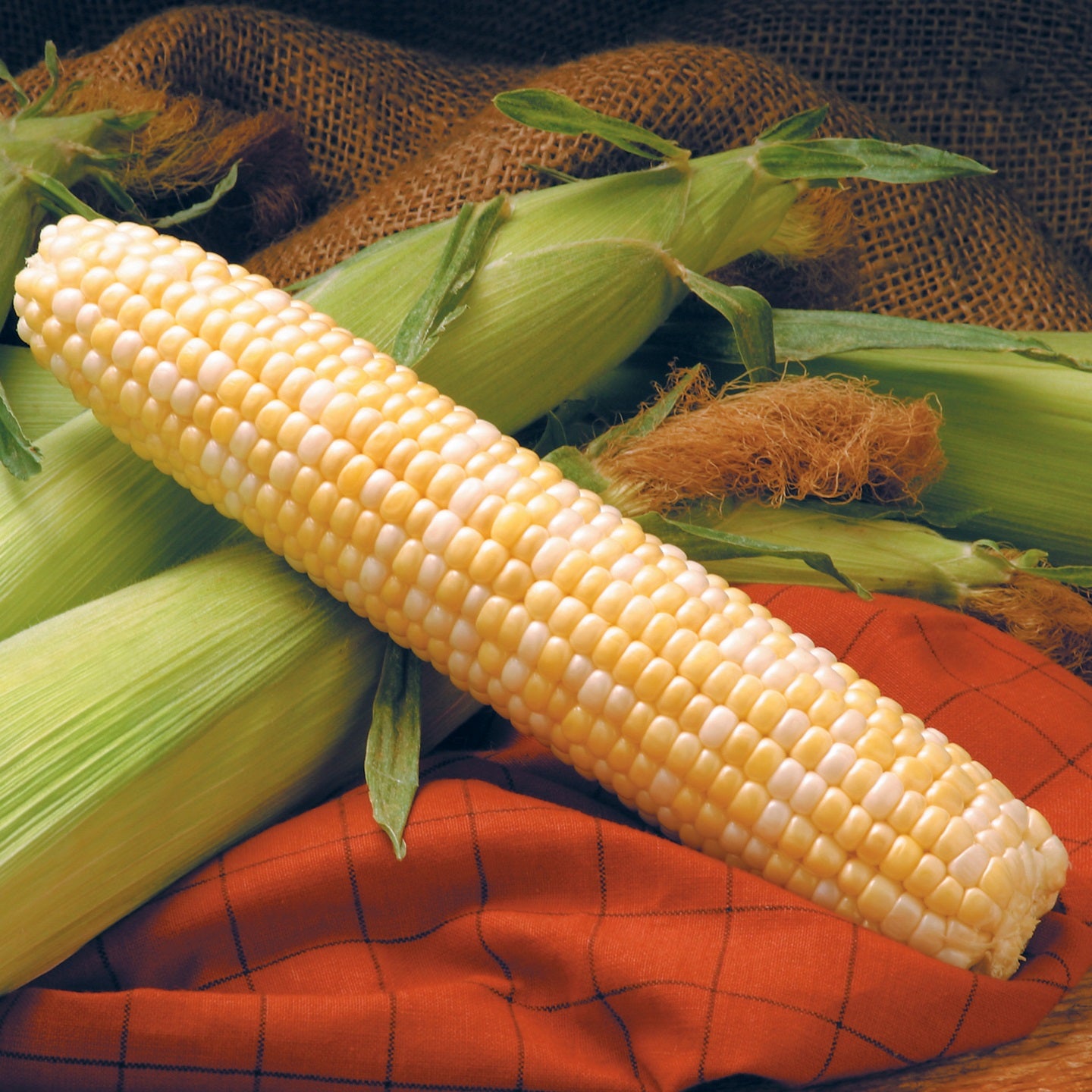 Hybrid Sugar Enhanced Bicolor Corn - Providence
