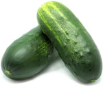 Hybrid Pickling Cucumber - Puccini RZ