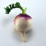 OP Turnip - Purple Top White Globe