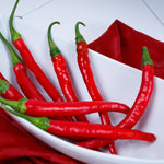 Hybrid Cayenne - Rajah