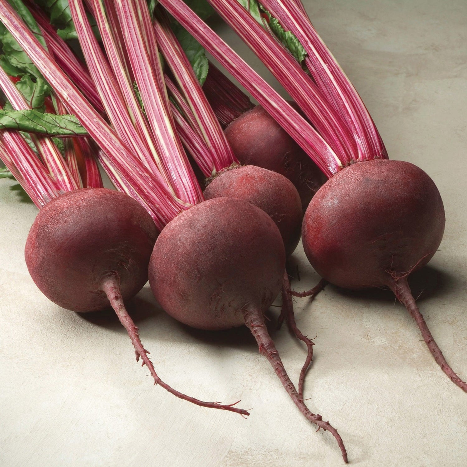 Hybrid Red Beet - Red Ace