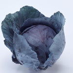 Hybrid Red Cabbage - Red Pearl