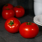 Hybrid Round Red Tomato - Red Snapper