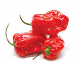 Hybrid Habanero Pepper - Rey Pakal