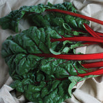OP Red Swiss Chard - Rhubarb