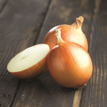 Hybrid Long Day Yellow Onion - Ridge Line
