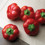Hybrid Red Mini Pepper - Right On Red