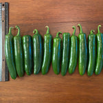 Hybrid Jalapeno Pepper - Ring Maxx