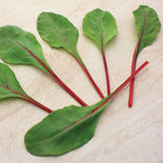 Hybrid Red Swiss Chard - Ruby Fresh