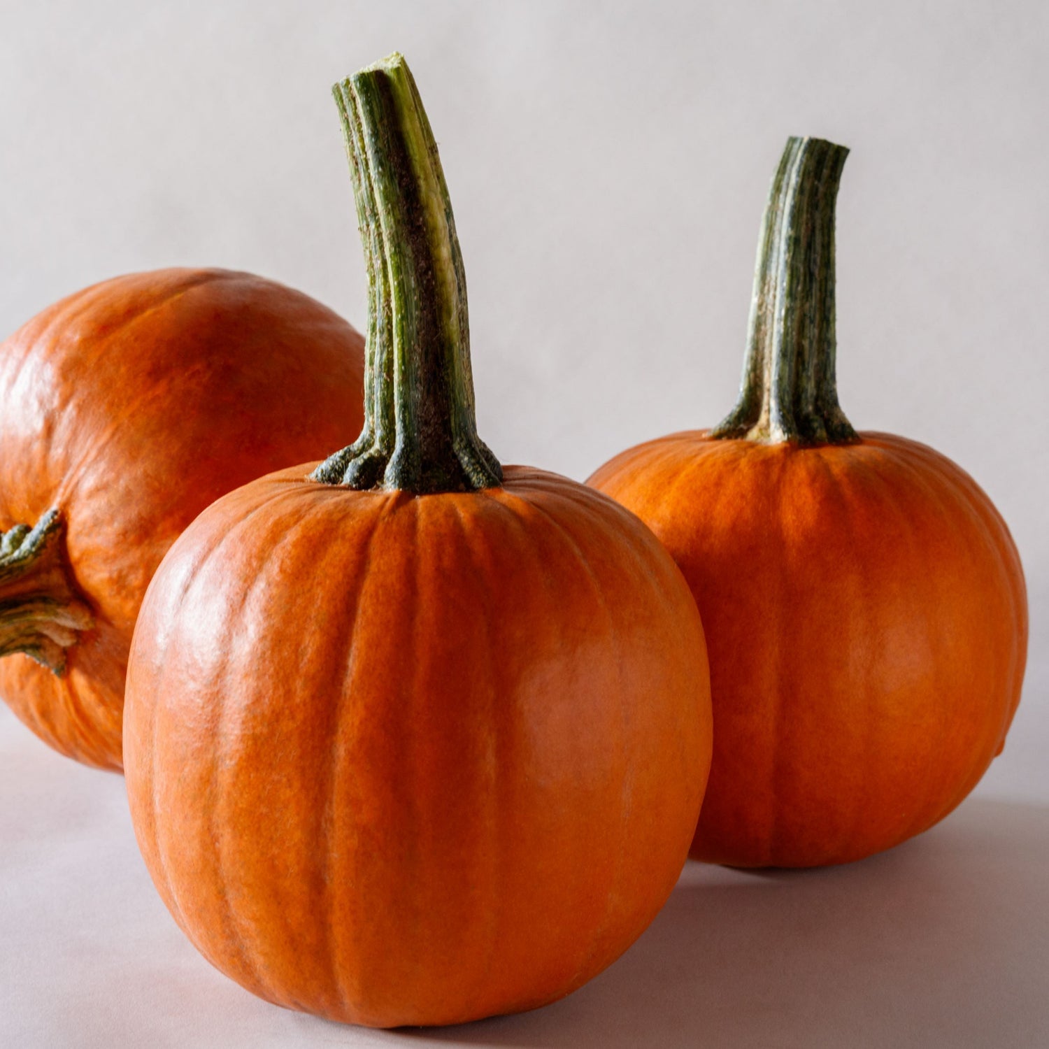 Hybrid Small/Pie Pumpkin - Rugrat