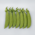OP Snap Pea - SL3123