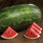 Hybrid Diploid (Seeded) Allsweet Rind Watermelon - SSX8585