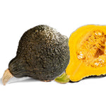 Hybrid Hubbard Squash - STAR 7053