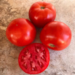 Hybrid Round Red Tomato - STM2255