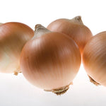 Hybrid Intermediate Day Yellow Onion - Salute
