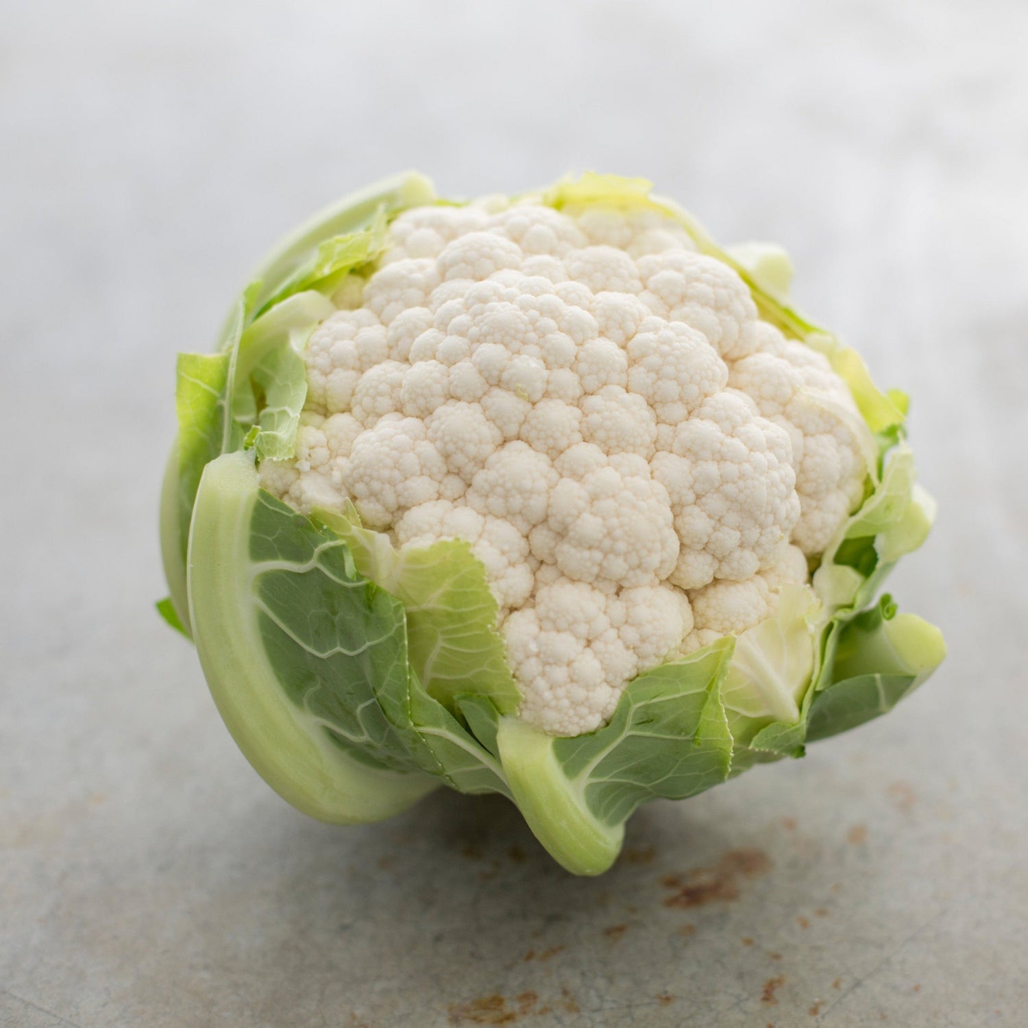 Hybrid White Cauliflower - Sierra Madre RZ