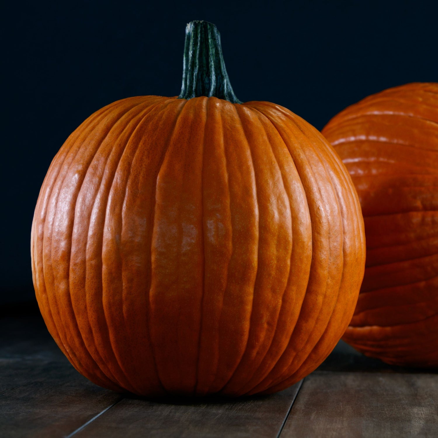 Hybrid Carving Pumpkin - Spartacus