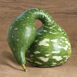 OP Large Gourd - Speckled Swan