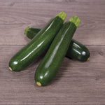 Hybrid Green Zucchini Squash - Spineless Supreme