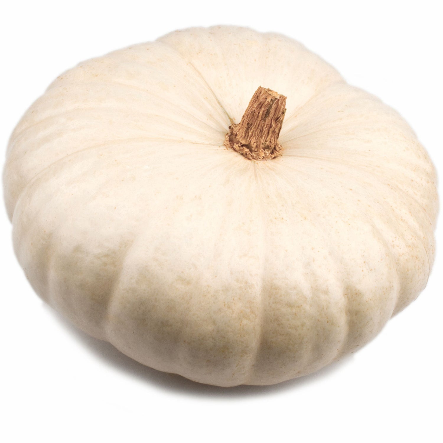 Hybrid White Pumpkin - Star 7001